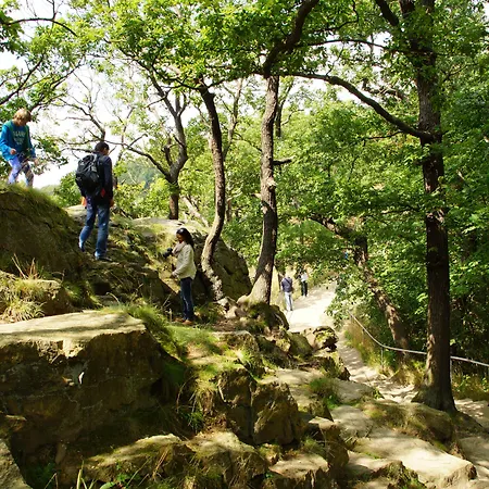 Landkomforthotel Panorama & Restaurant Bella Vista 3* 加爾米施-帕滕基興